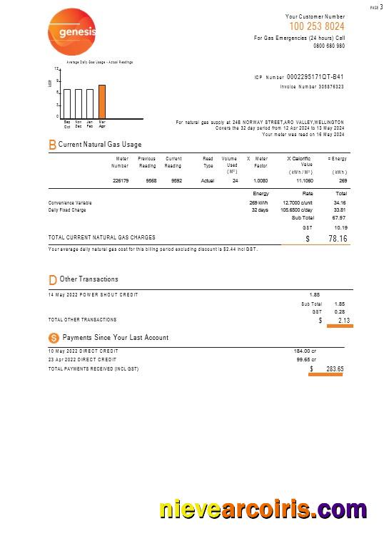 New Zealand Genesis Gas utility bill 3 pages